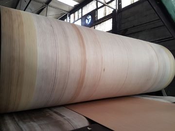 Aramid Edge Corrugator Belt عالي المتانة لـ BHS ، FOSBER ، MARQUIP Line